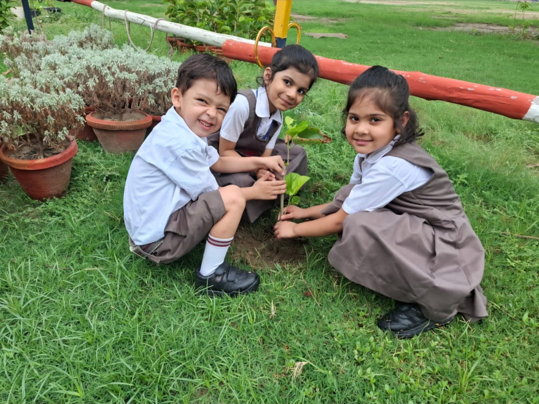 Earth First: Growing Hope with Every Step